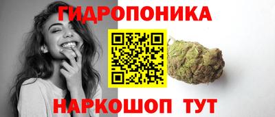 спиды Славгород