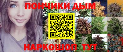 гашик Славянск-на-Кубани