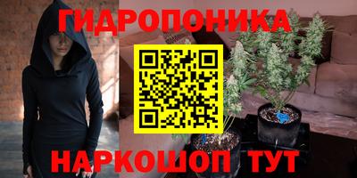 соль курить ск Сланцы