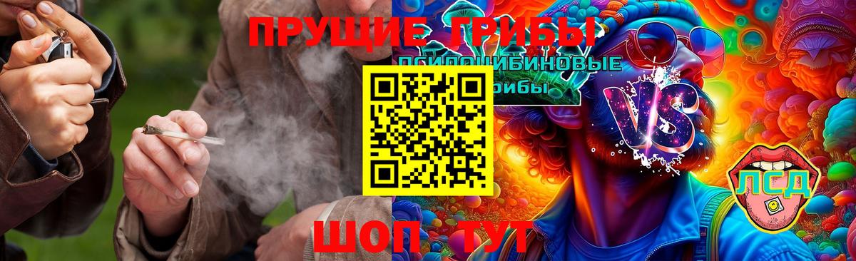 Янаул  Псилоцибиновые грибы GOLDEN TEACHER  Вход с VPN 